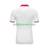 Maillot de Foot Tunisie Extérieur 2023-24
